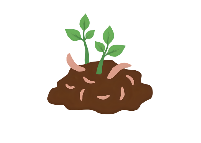 Digging Deeper: Vermicomposting and the Power of Worms