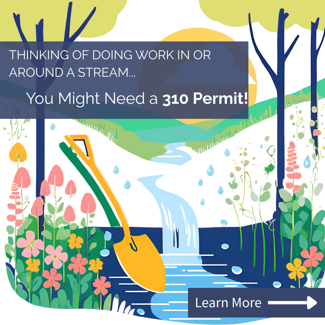 Stream Smart: Know the 310 Law