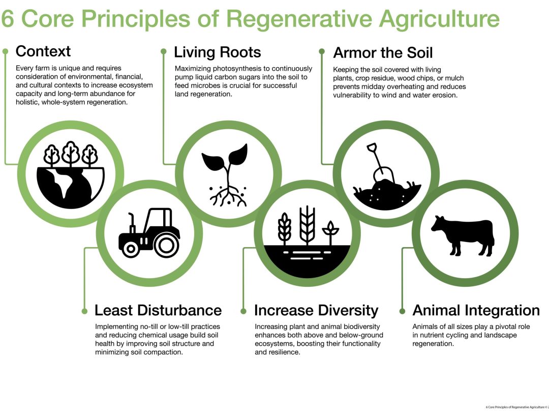 Regenerative Agriculture