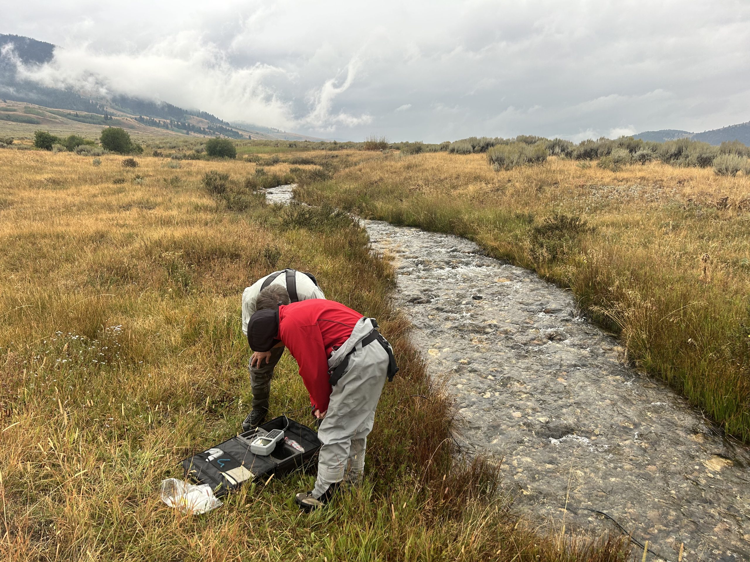 Volunteers analyzing data for Tributary Blitz